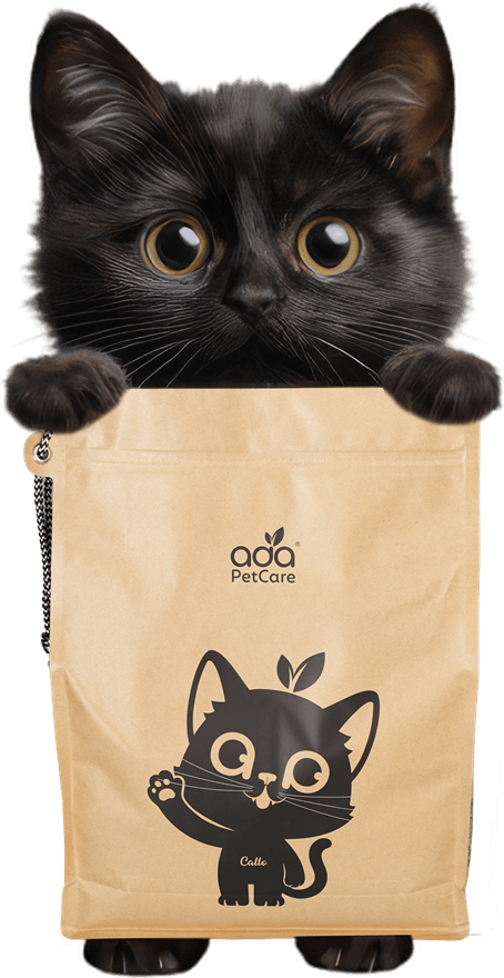 A black cat sitting inside an ADA Pet Care kraft litter bag