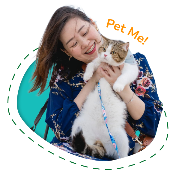 cat-beach-sanctuary-caring-cat