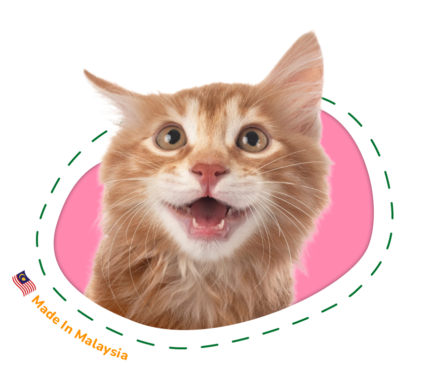 made in malaysia cat slider